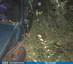 В Бобруйском районе перевернулся автомобиль, погибла женщина