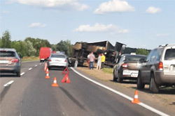 На выезде из Бобруйска опрокинулся грузовик. Водитель: «На дорогу выскочило животное»