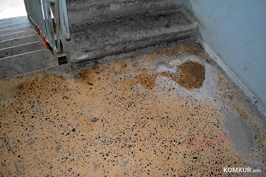 Искать виноватых или решать проблему? «Коммерческий» позвали в общежитие