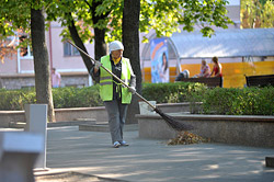 Тоже денежка: рынок труда Бобруйска, взгляд понизу
