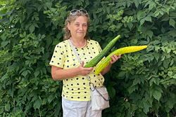 Под Бобруйском растут «китайские змеи»