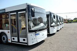 Деньги — в машины и... — в магазины. Как Бобруйск прожил первое полугодие?