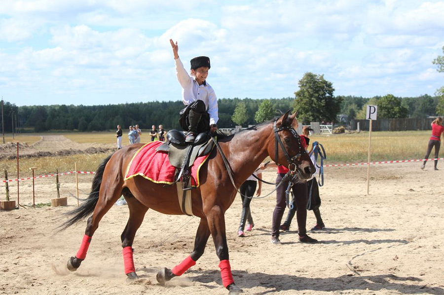 Прочувствуйте роль лошади в жизни общества – съездите в Сычково