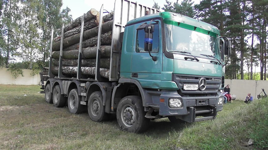 Бобруйчанин и его приятели украли целый грузовик древесины