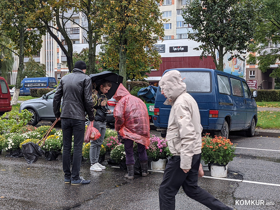 Овощи, фрукты, саженцы, рыба – что почем? Наш репортаж с первой осенней ярмарки