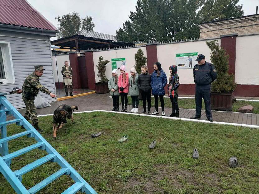 Бобруйские школьники побывали в питомнике служебных собак