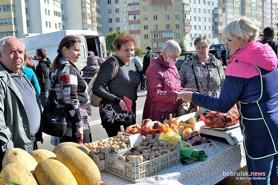 Для удовлетворения покупательского спроса в сельскохозяйственной продукции в Бобруйске будут организованы ярмарки «Золотая осень».