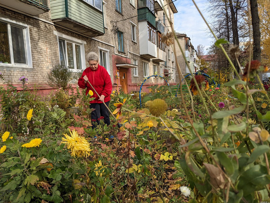 Клумбы среди многоэтажек: чьих рук дело?