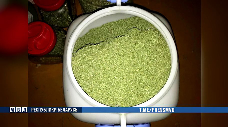 9 кг марихуаны изъяли у продавца-консультанта в Бобруйске