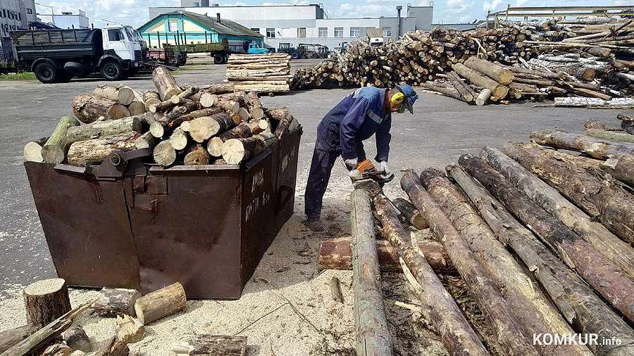 Спрос на дрова бьет рекорды. Бобруйский «топсбыт» назвал причину