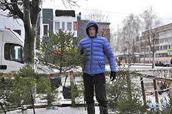 Елочные базары в Бобруйске. Когда? Где? Почем?