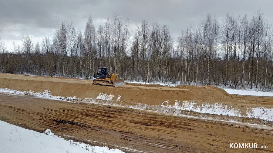 Зачем в Бобруйске укрепляют мост, который... пойдет под снос?