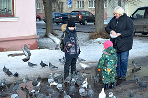 Весенняя погода в феврале. Бобруйский фоторепортаж