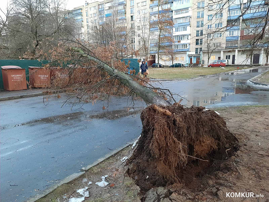 Синоптики объявили на четверг, 17 февраля, оранжевый уровень опасности из-за резкого усиления ветра.