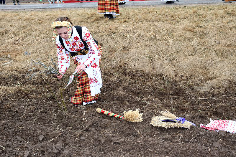 На поле ОАО «Михалевская Нива» Бобруйского района был дан старт весенней посевной кампании в Могилевской области
