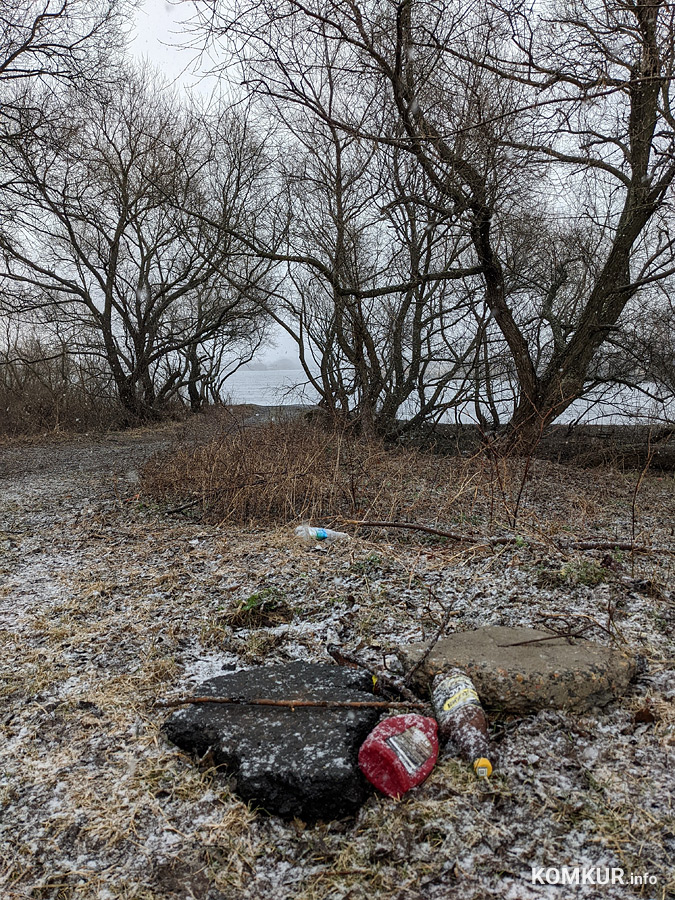 Чем бобруйчан встречают весенний лес и Березина?