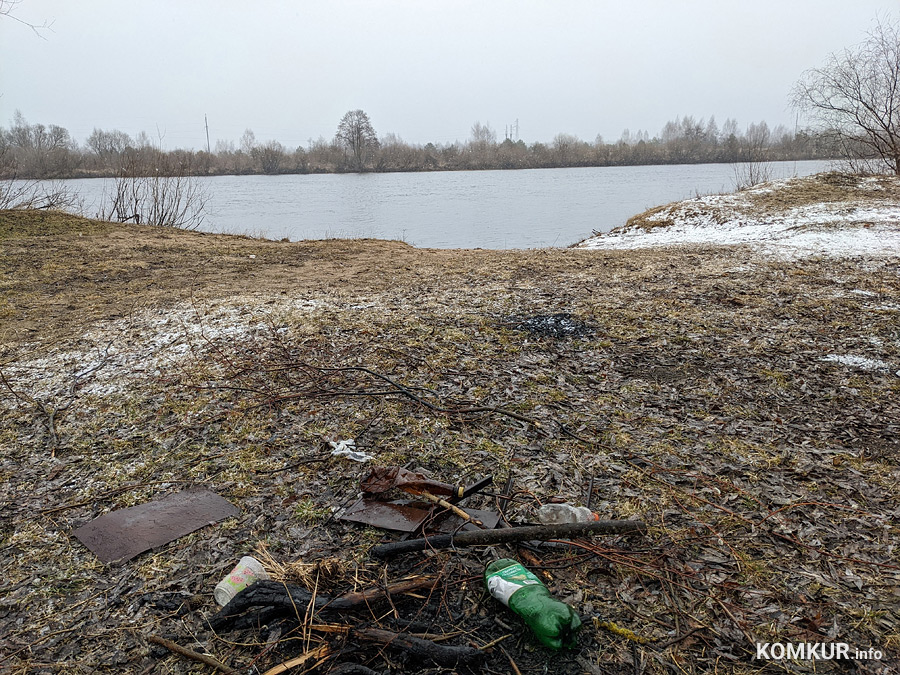Чем бобруйчан встречают весенний лес и Березина?