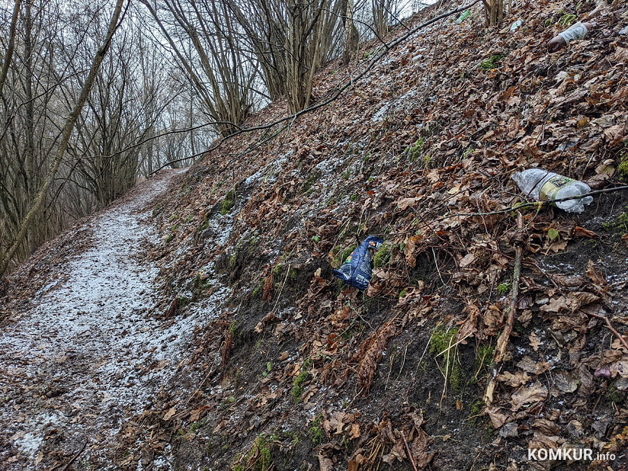 Чем бобруйчан встречают весенний лес и Березина?