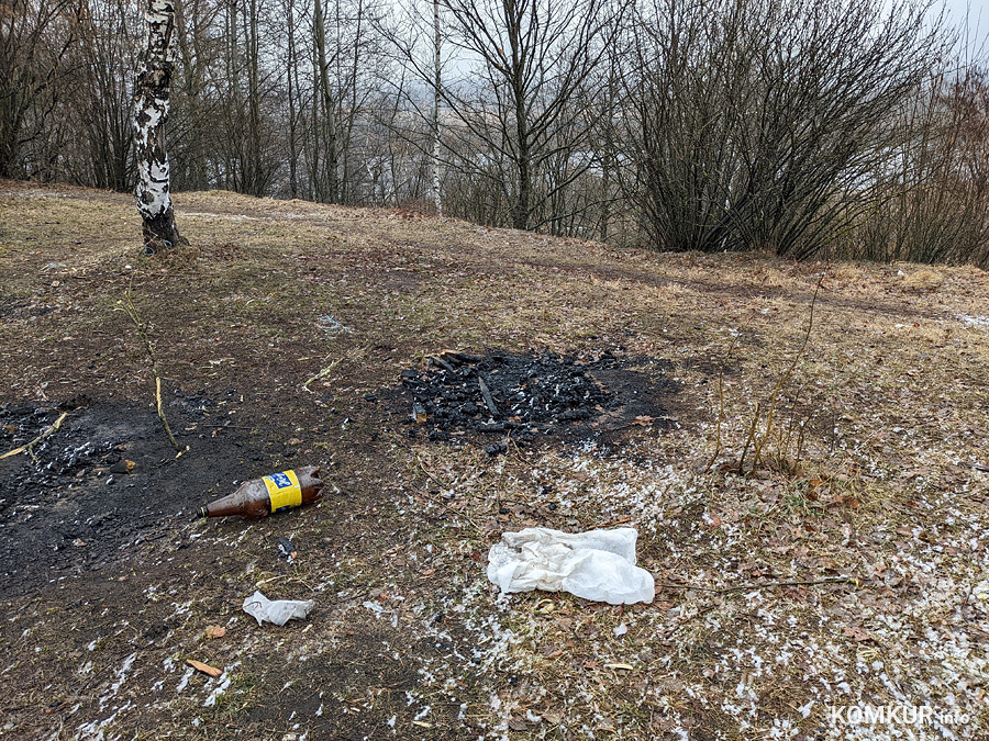 Чем бобруйчан встречают весенний лес и Березина?