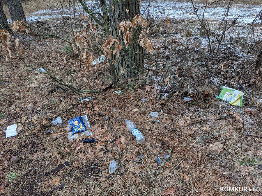 Чем бобруйчан встречают весенний лес и Березина?