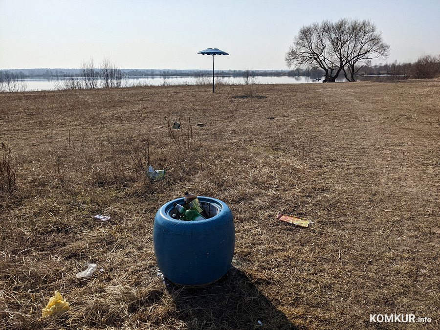 Чем бобруйчан встречают весенний лес и Березина?