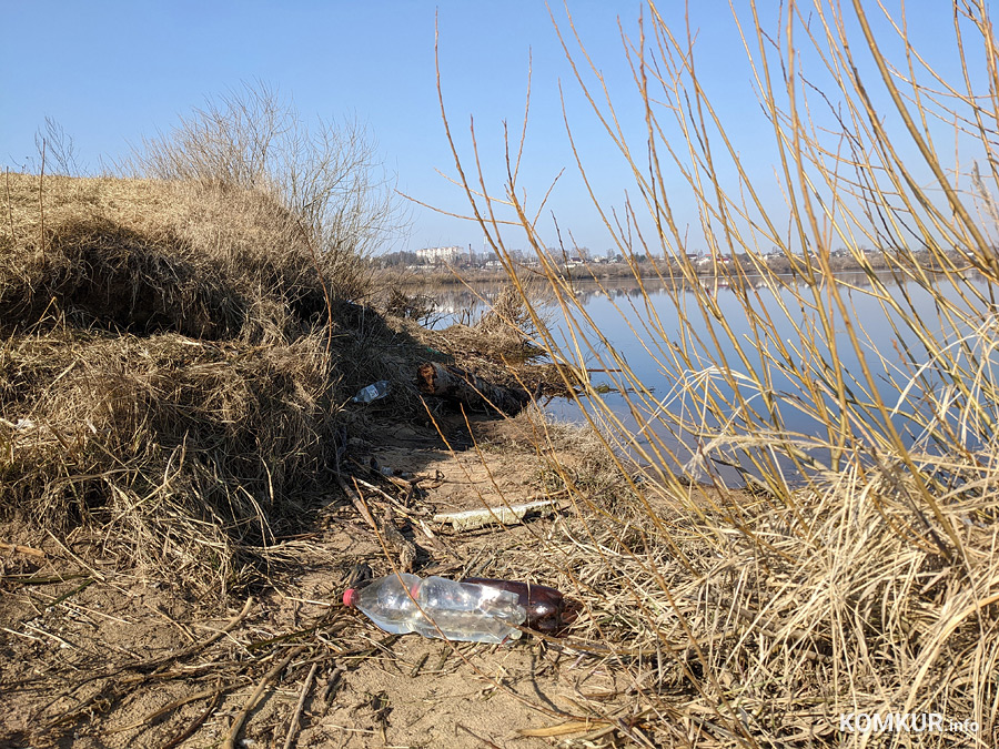 Чем бобруйчан встречают весенний лес и Березина?