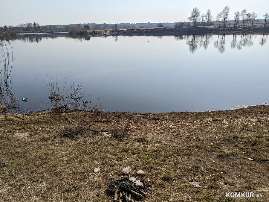 Чем бобруйчан встречают весенний лес и Березина?