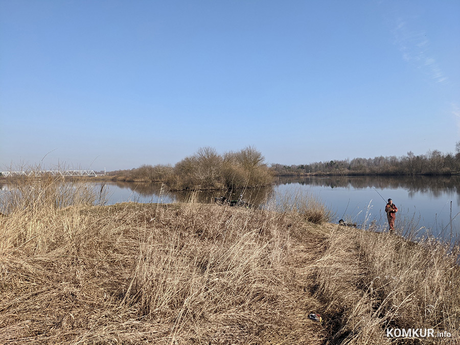 Чем бобруйчан встречают весенний лес и Березина?