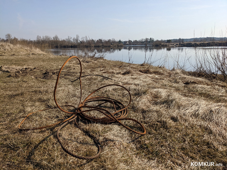 Чем бобруйчан встречают весенний лес и Березина?