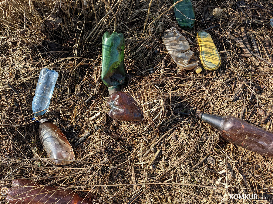 Чем бобруйчан встречают весенний лес и Березина?