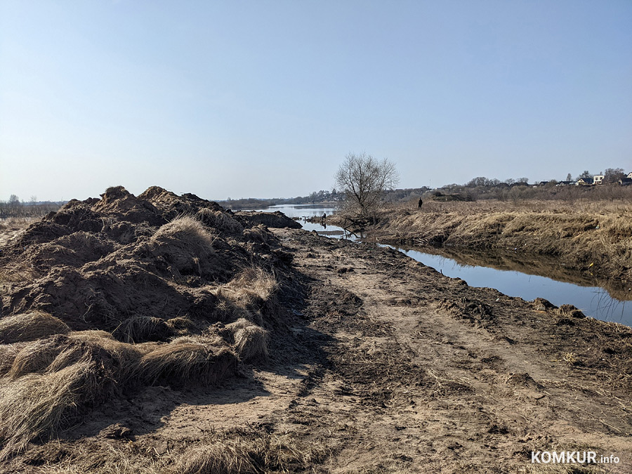 Чем бобруйчан встречают весенний лес и Березина?