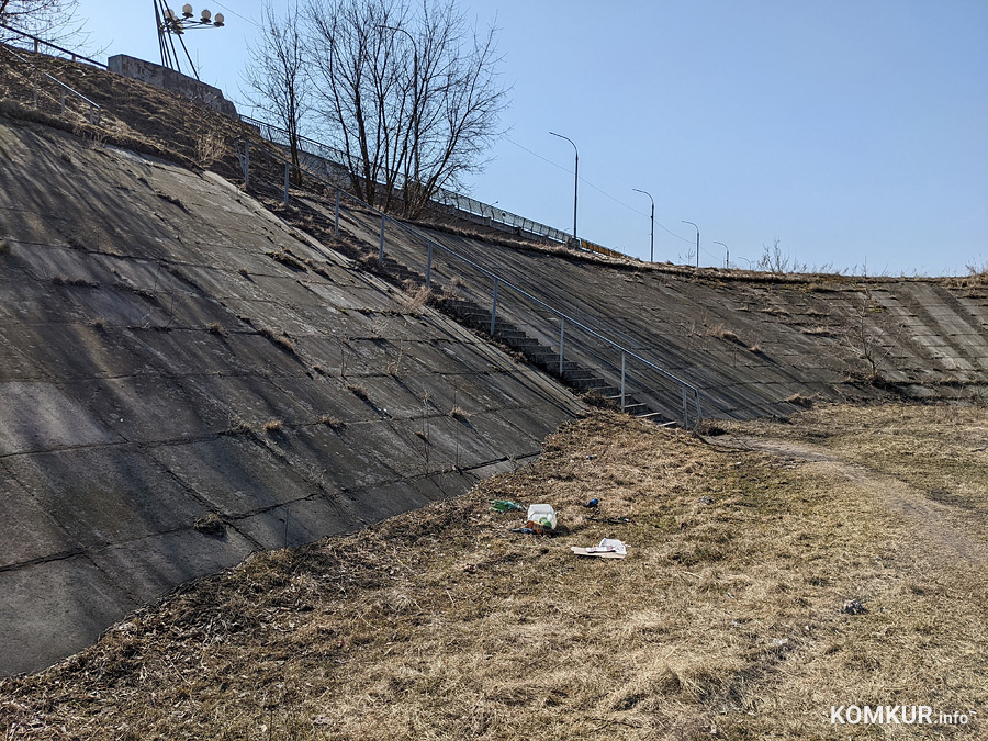 Чем бобруйчан встречают весенний лес и Березина?