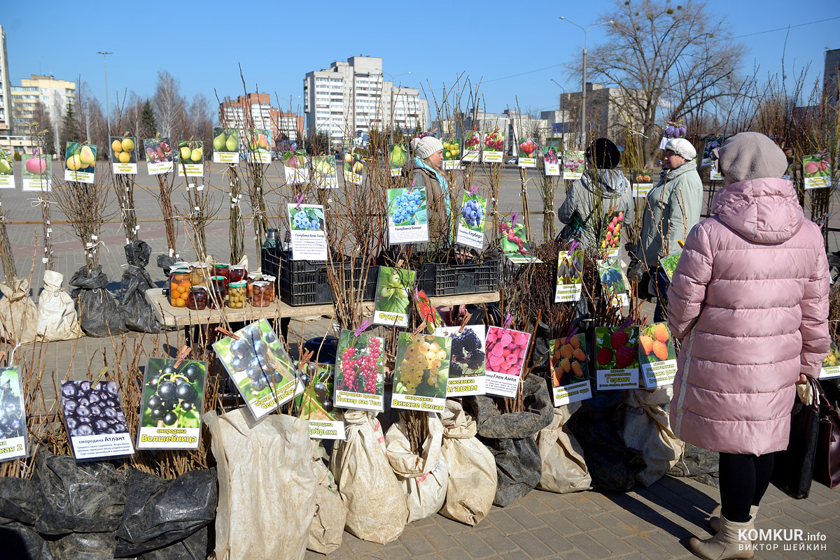 Весенняя ярмарка открылась в Бобруйске