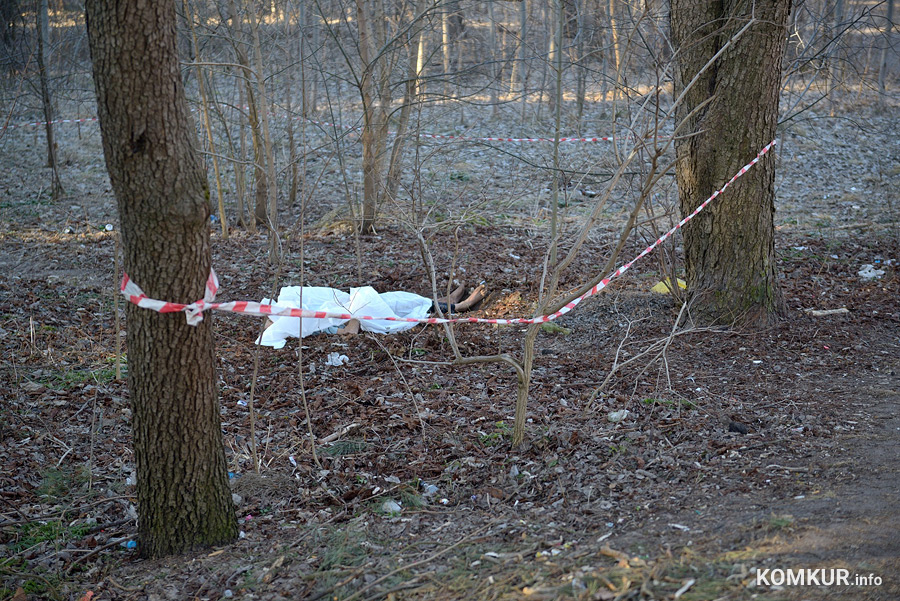 Рано утром в пятницу, 18 марта, в микрорайоне «Киселевичи» был обнаружен труп человека.