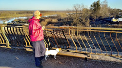 Турникетное ограждение на «фандоковском» мосту в Бобруйске требует ремонта