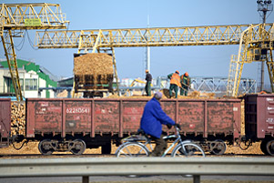 Бобруйск, Березина. Наблюдения с моста и берега реки. Фоторепортаж