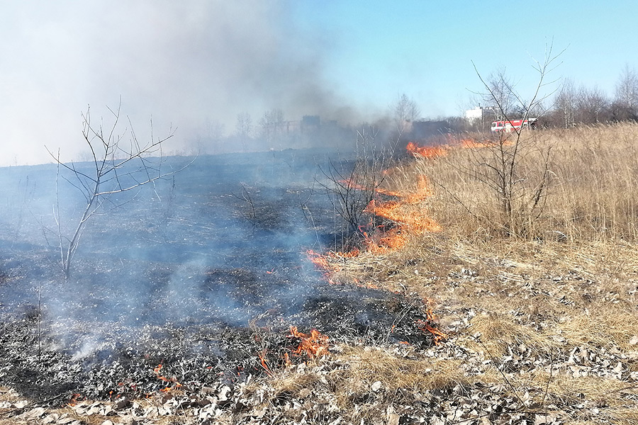 От ожогов, полученных при сжигании мусора в Бобруйском районе, умер пенсионер 