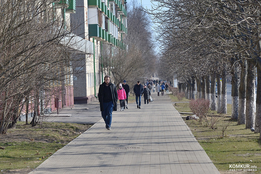 Как изменилась численность населения в Бобруйске и районе за прошлый год