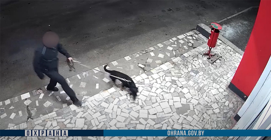 Выгулять собаку и стащить бутылку: необычная кража в Бобруйске