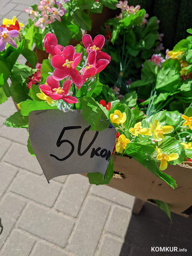 Что почем на Елисейских полях бобруйских рынков