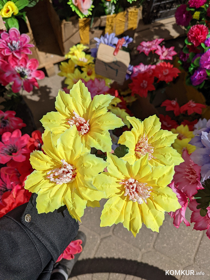 Что почем на Елисейских полях бобруйских рынков