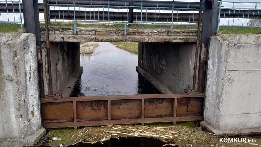 Вода в домах, огородах и на дорогах. Последствия затяжных дождей в Бобруйске и окрестностях