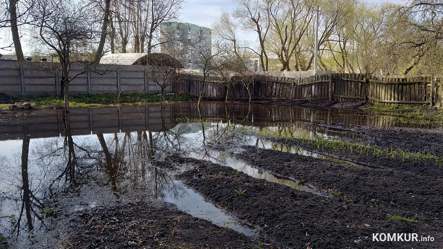 В центре Бобруйска проснулась пропавшая река и затопила огороды