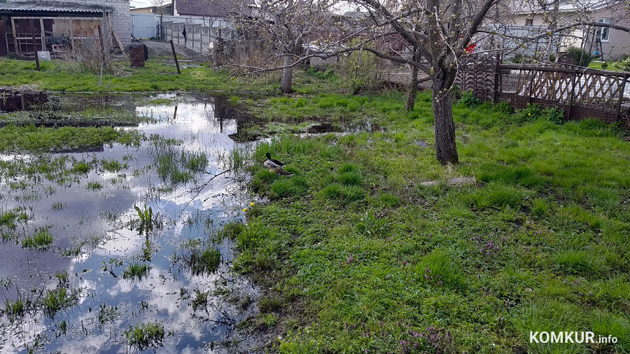 В центре Бобруйска проснулась пропавшая река и затопила огороды