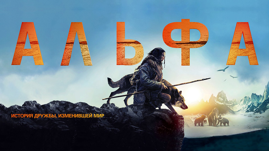 Животные в кадре: доброе кино в сервисе МТС ТВ для всей семьи