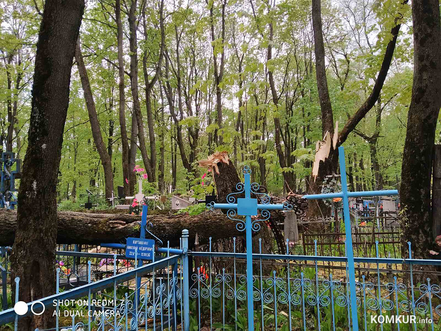 Что натворил ураган на Минских кладбищах в Бобруйске