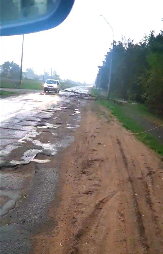 В Бобруйске разгул стихии: ветер повалил деревья, порвал провода