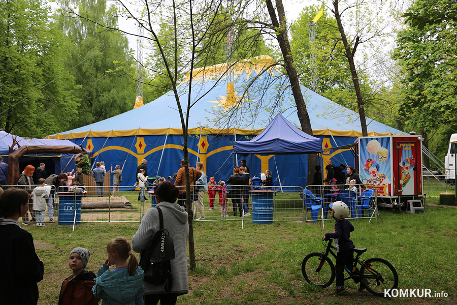 Цирк антре. Афиша циркового представления. Цирк бобруйск. Цирк бобруйск. Цирк бобруйск.