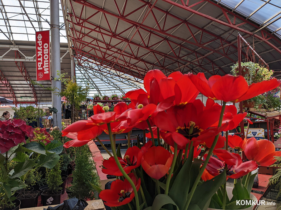 Весна на бобруйских рынках: что почем?