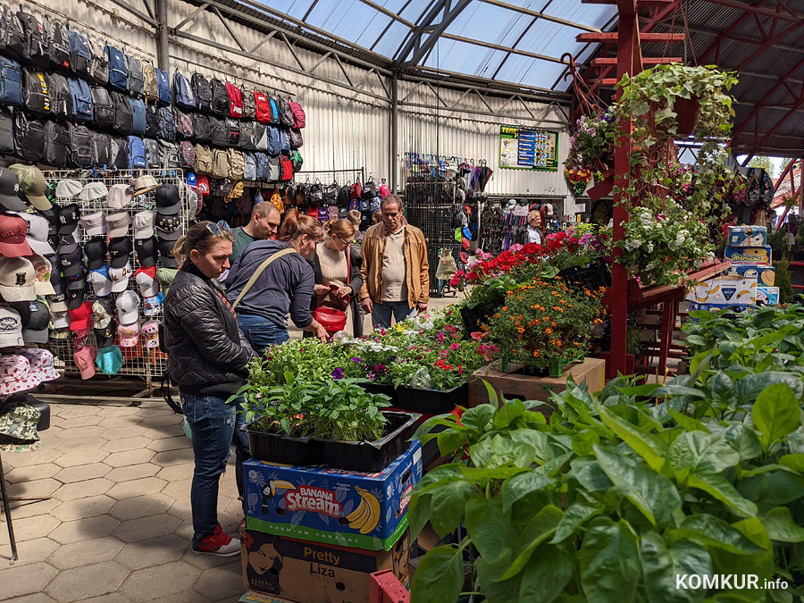 Весна на бобруйских рынках: что почем?